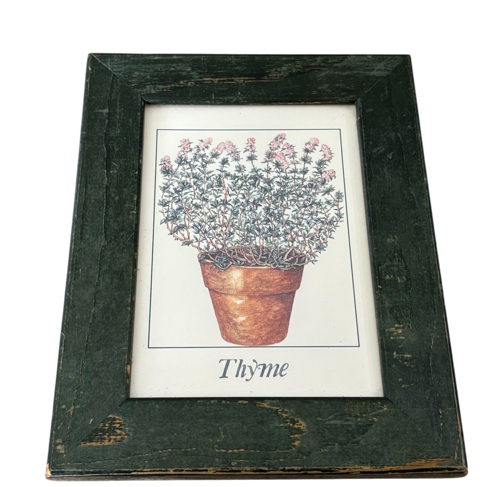 Vintage Thyme Botanical Art Print - Distressed Green Wooden Framed Herb Picture